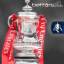 Crystal Palace vs Manchester United - Preview and Odds - FA Cup Final